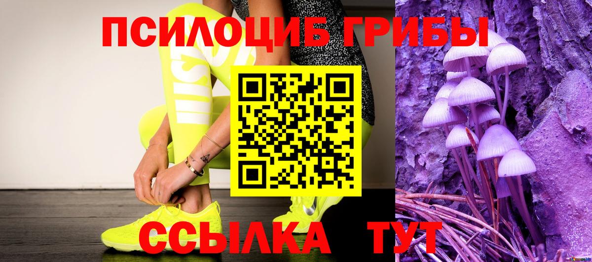 Братск  Галлюциногенные грибы GOLDEN TEACHER  Галлюциногенные грибы прущие грибы  Вход с VPN 